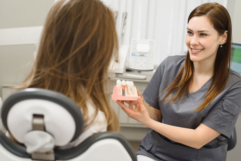 a dental assistant showing a dental implant model to a patient